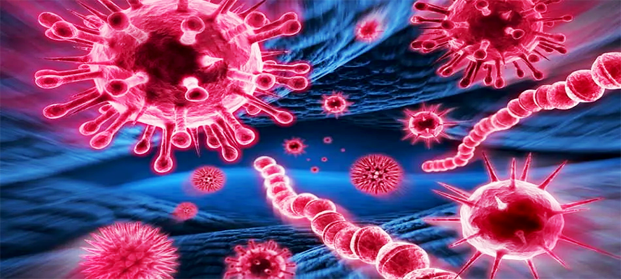 Makaleler - Ozon Sağlık Hizmetleri